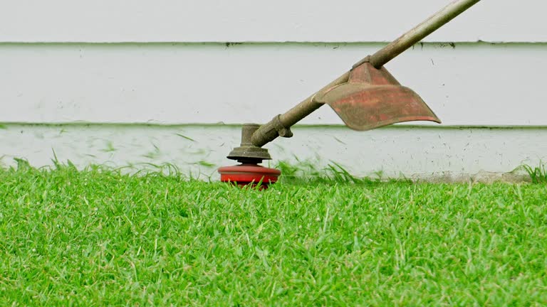 Best Organic Lawn Care Solutions  in Murray, KY